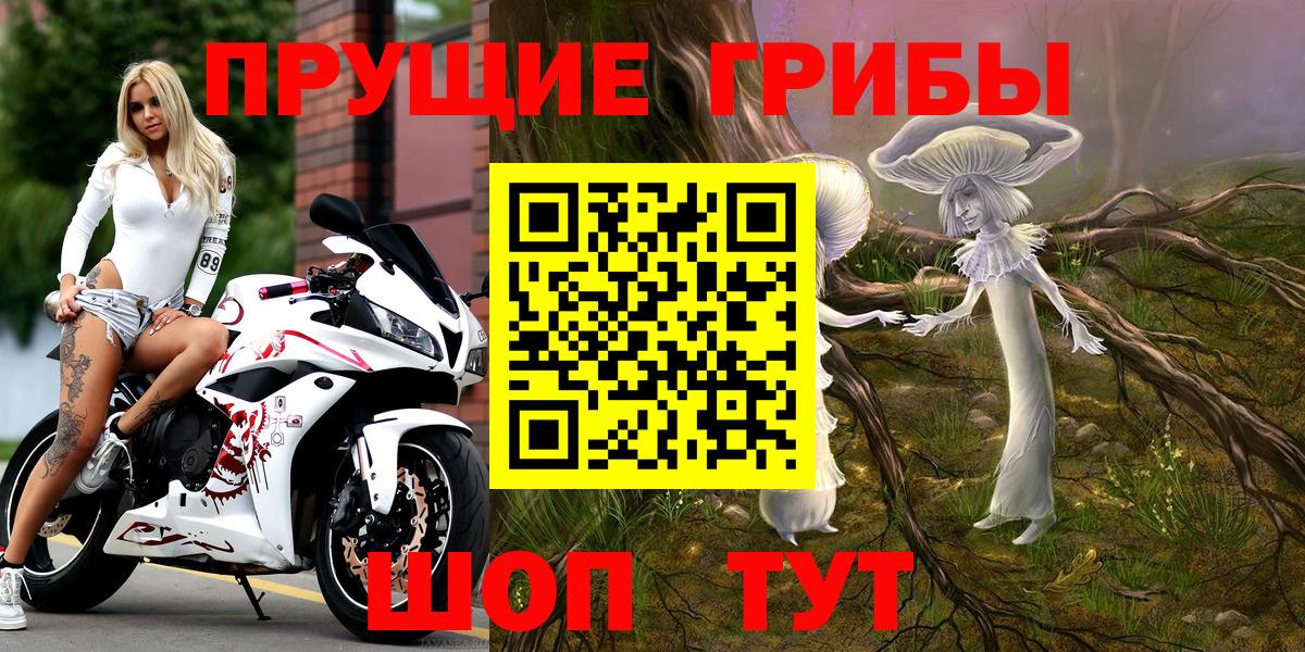 Галлюциногенные грибы прущие грибы  Галлюциногенные грибы мицелий  Курчатов  Вход с VPN 